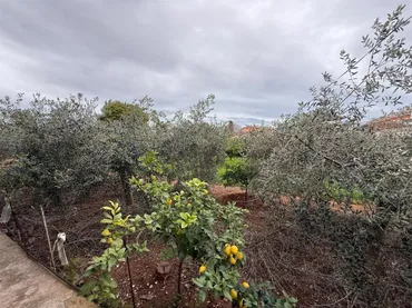Finca rústica en  Grupo Nuestra Señora del Rosario 1 - Foto 4