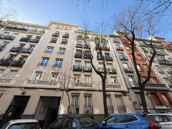 Piso en calle de Ayala, 156