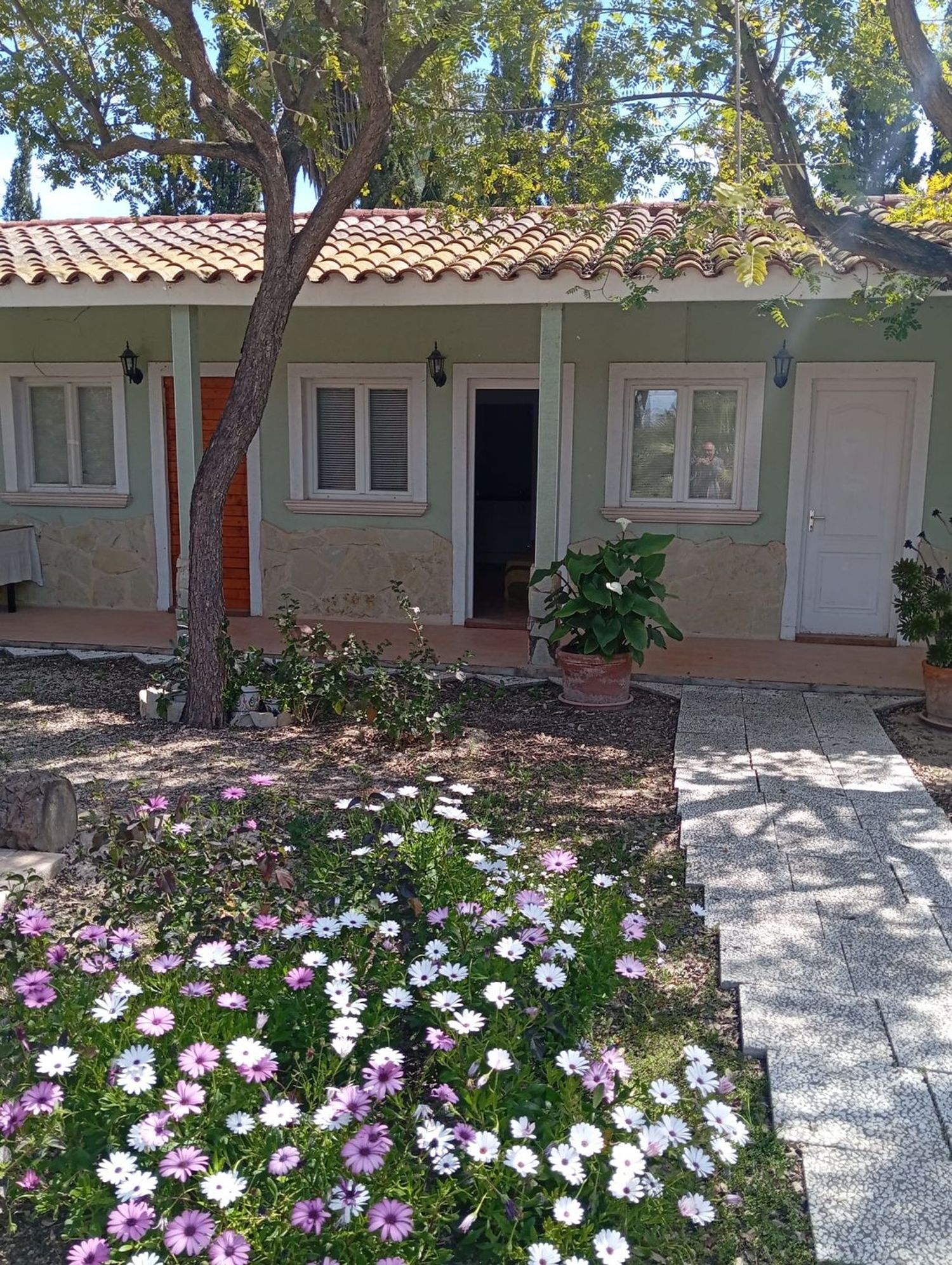 Casa o chalet independiente en Camino de la Piedra Escrita, 213 a, Algoda-Matola-Llano de San José, Algoda-Matola-Llano de San José - Foto 3