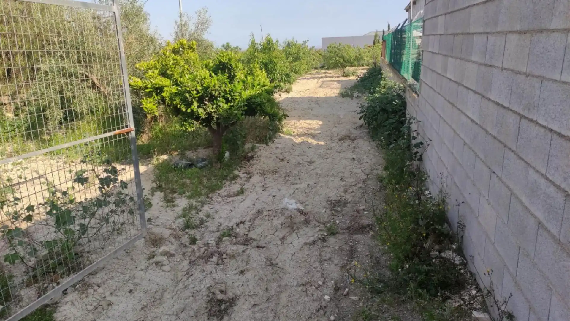 Finca rústica en  Diseminado Urreas 11 - Foto 43