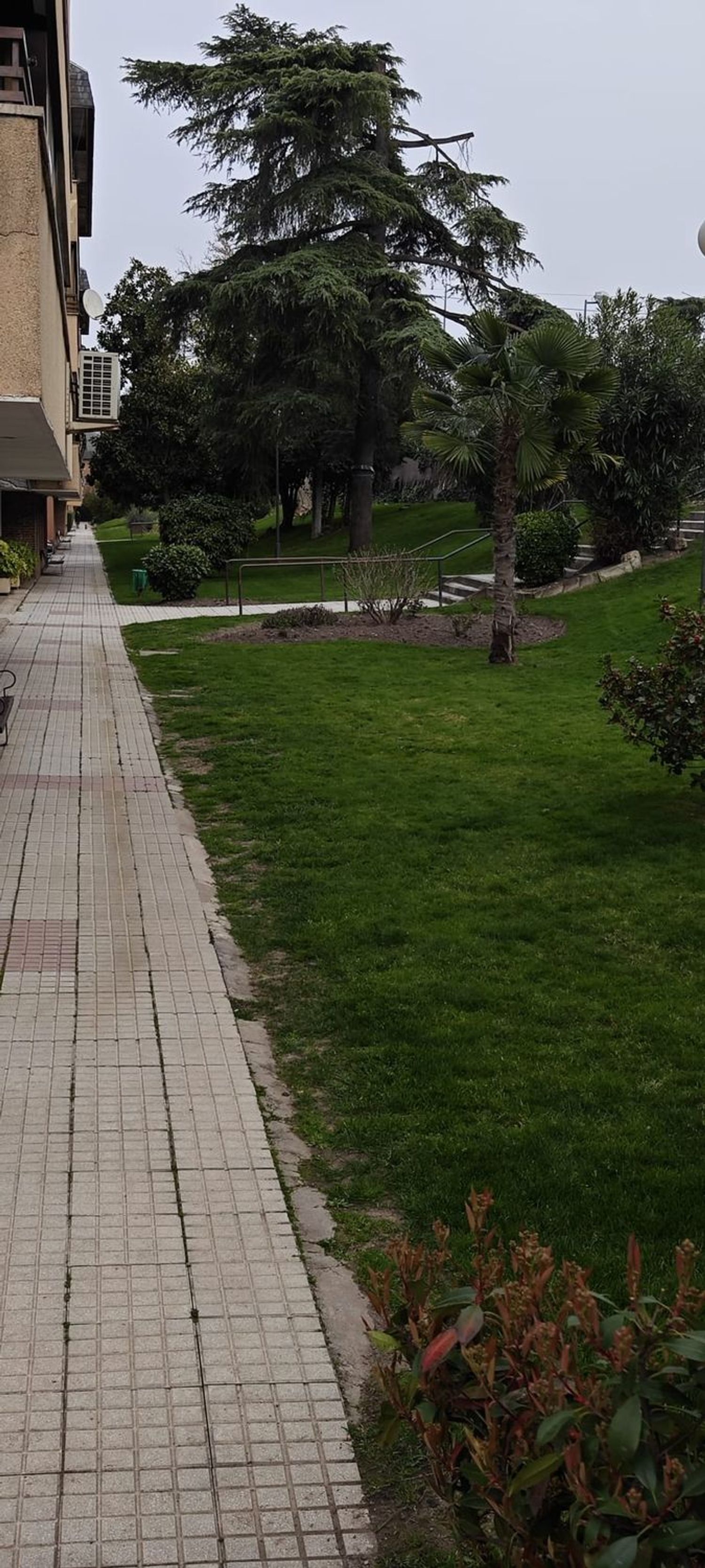 Piso en Zona Carretera del Plantío - Foto 20