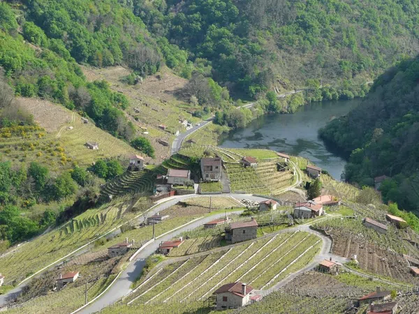 Finca rústica en Camino Sen Nome s/n - Foto 1