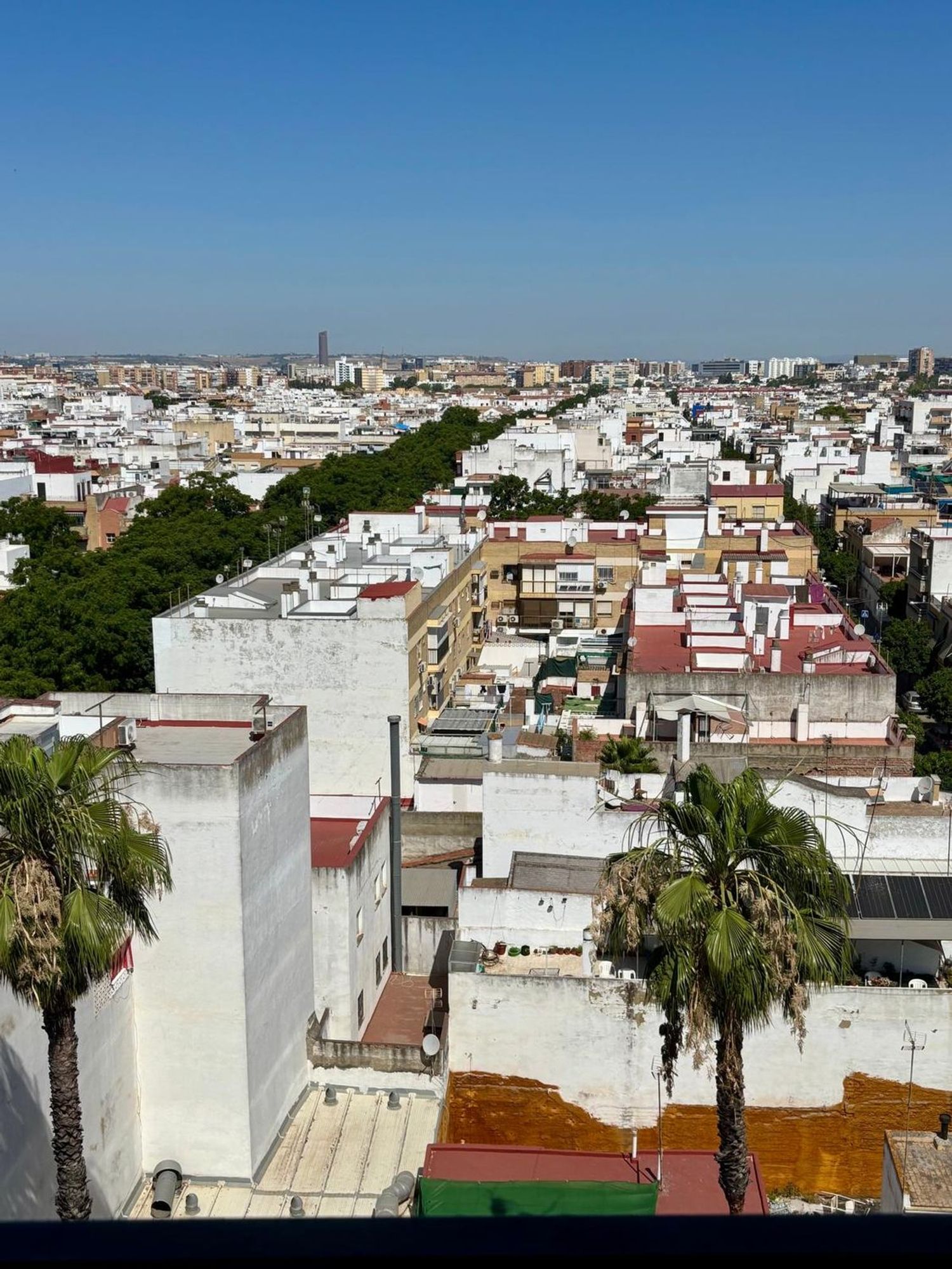 Piso en Calle Ocho de Marzo, 14, Cerro del Águila - Foto 5