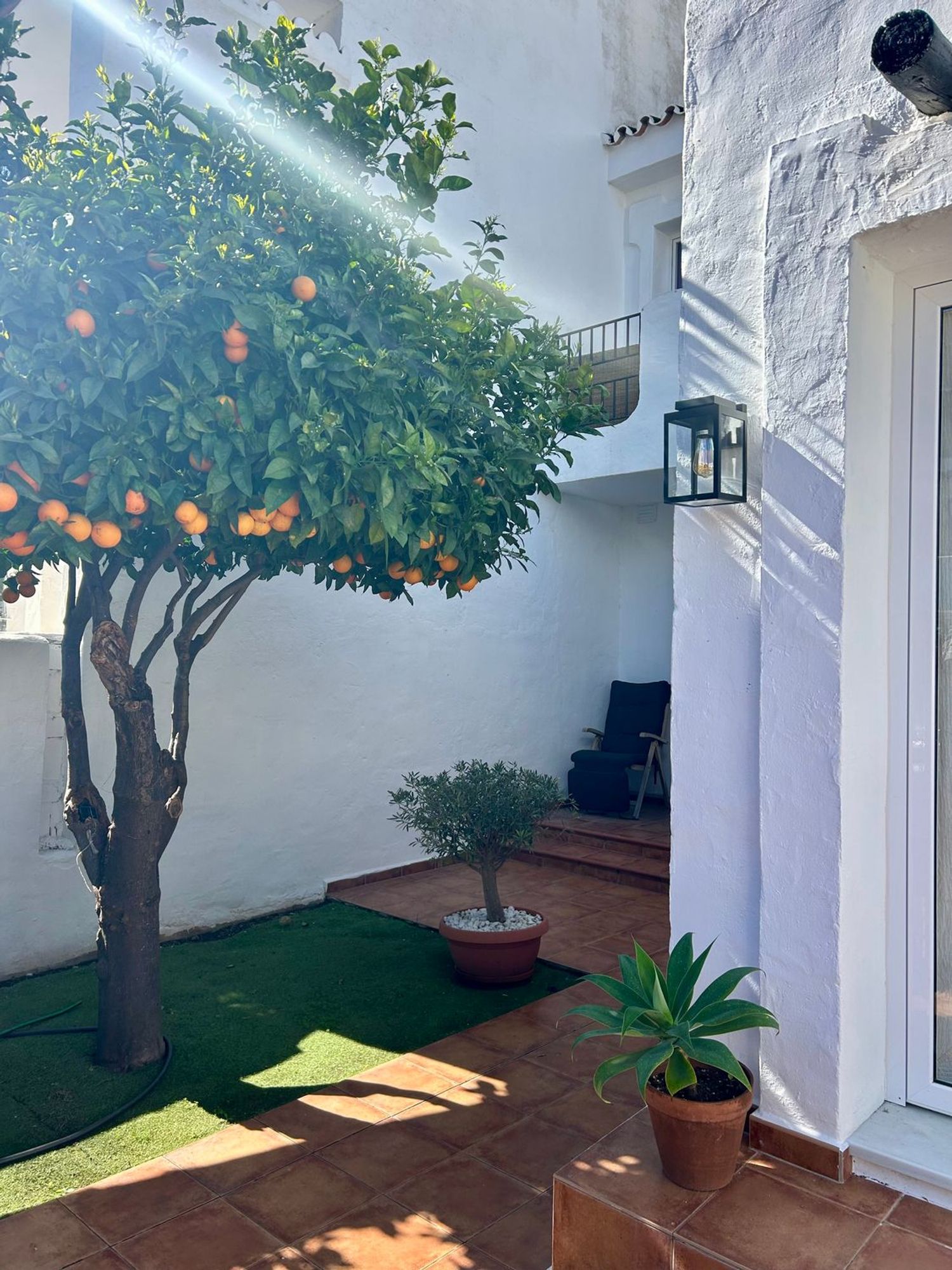 Chalet adosado en Calle Alcaucín, 3 - Foto 15