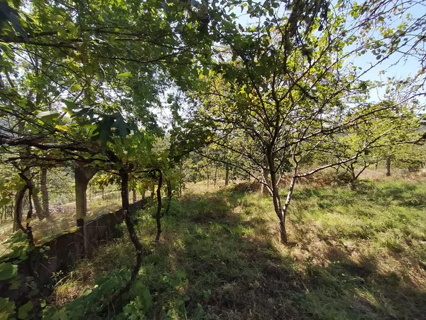 Casa rural en Senin, 6 - Foto 3