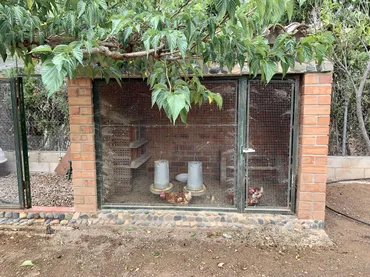 Chalet en  Carrer del Morell 6 - Foto 12