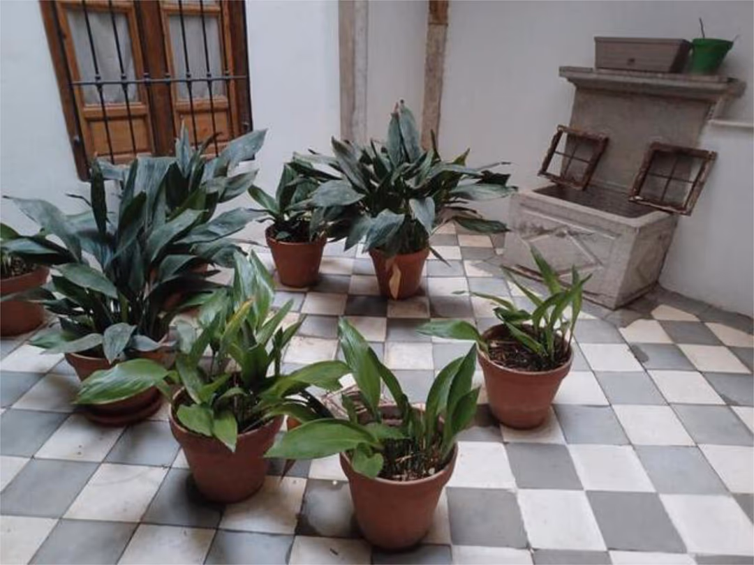 Apartamento en Centro - Foto 7