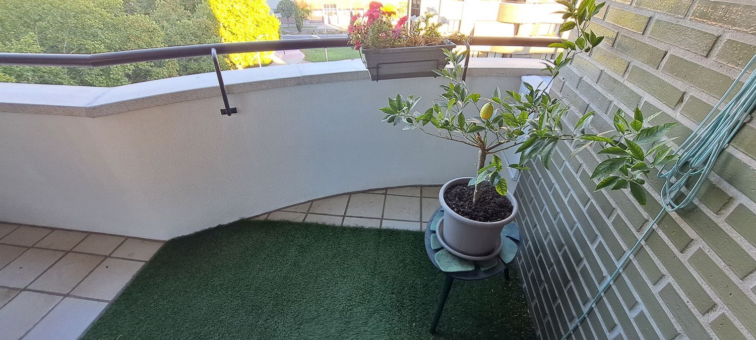 Piso en Calle Morena, 5, Girón - Villa del Prado, Girón - Villa del Prado - Foto 4