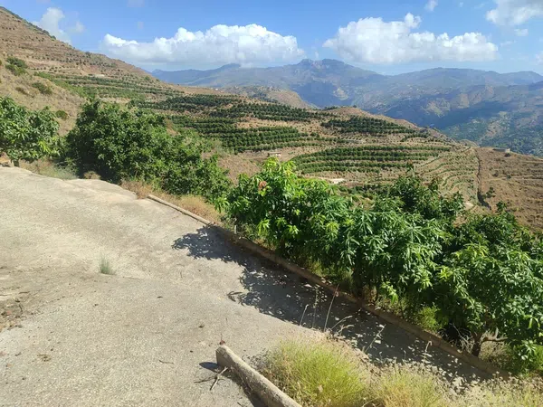 Cortijo en Cortijo en Camino de Río Seco, 36, El Rescate - Río Seco, El Rescate - Río Seco - Foto 31