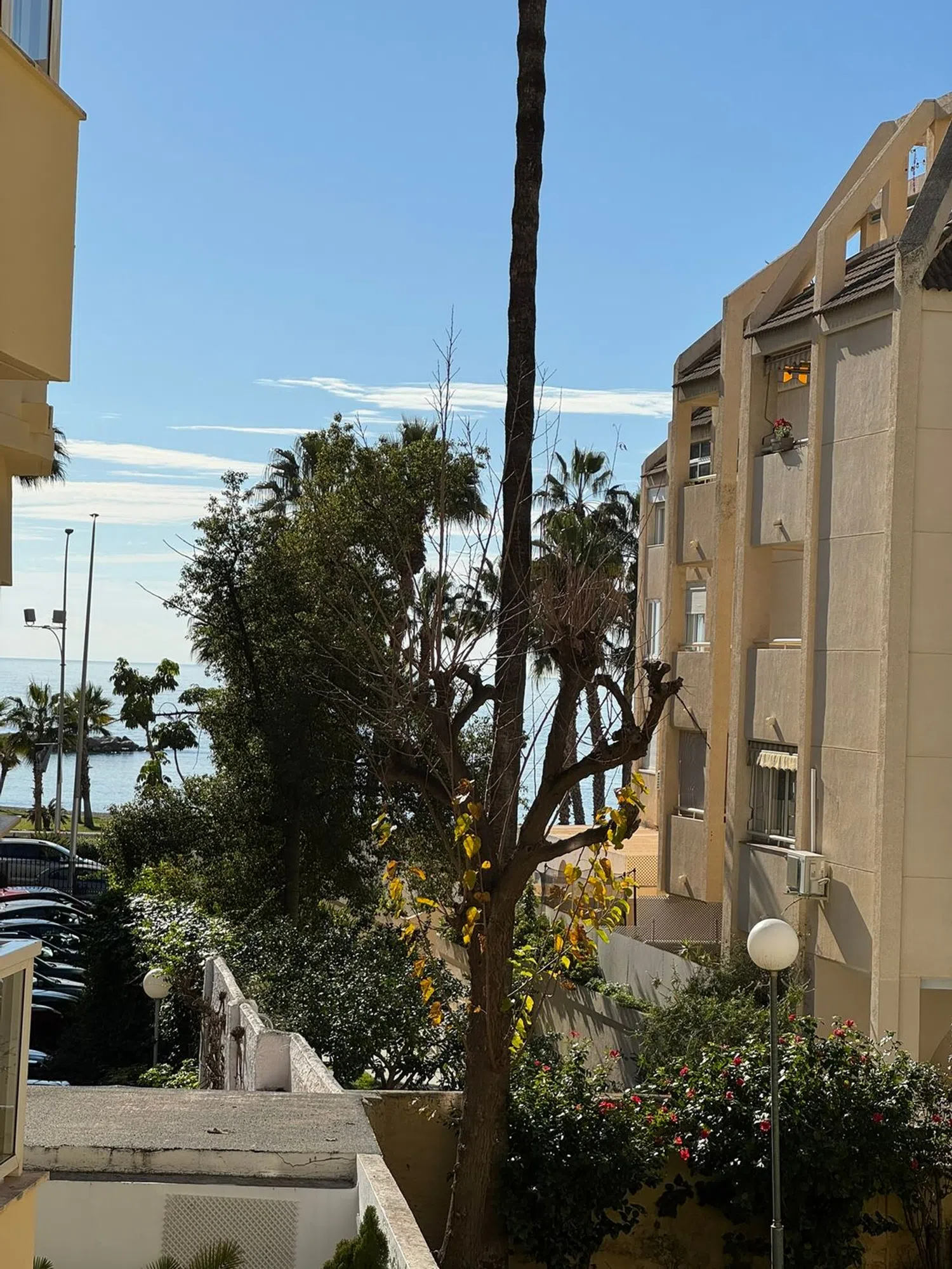 Dúplex en paseo de Sancha, 16 - Foto 7