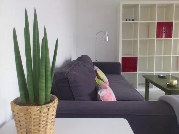 Piso en Calle Sor Manuela Ramos, 3, Ronda de Triana-Patrocinio-Turruñuelo - Foto 7