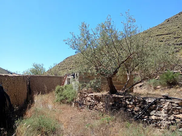 Cortijo en barranco s/n - Foto 14