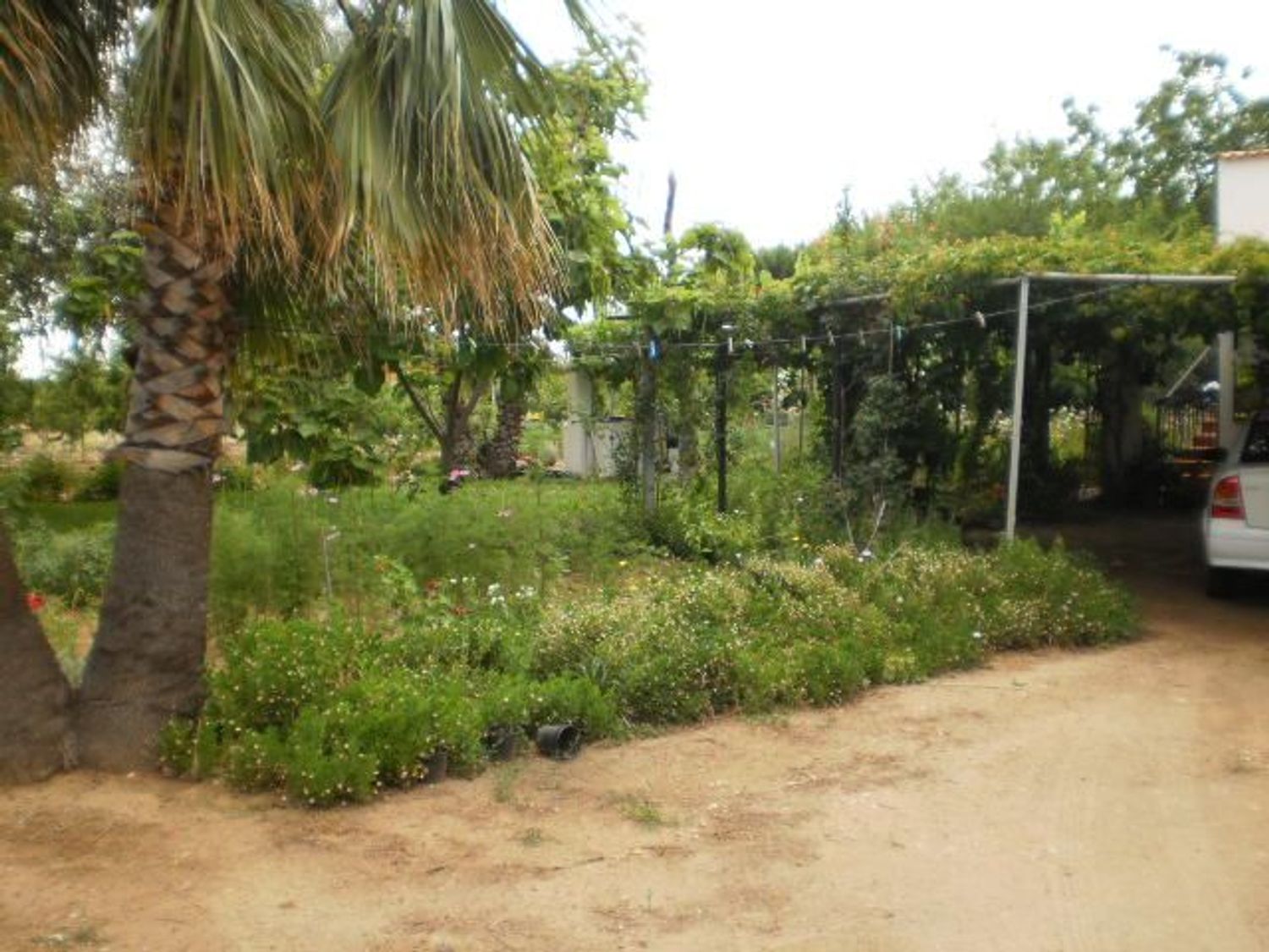 Cortijo en Ba-012 s/n - Foto 2