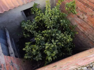 Casa adosada en  Calle Rejas 6 - Foto 28
