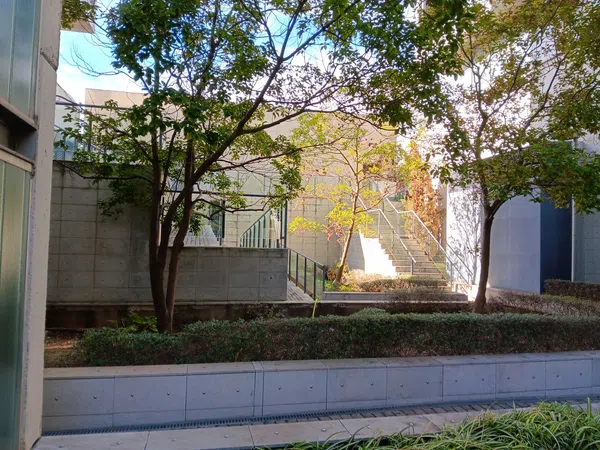 Piso en calle Cruz Roja, 1 - Foto 4