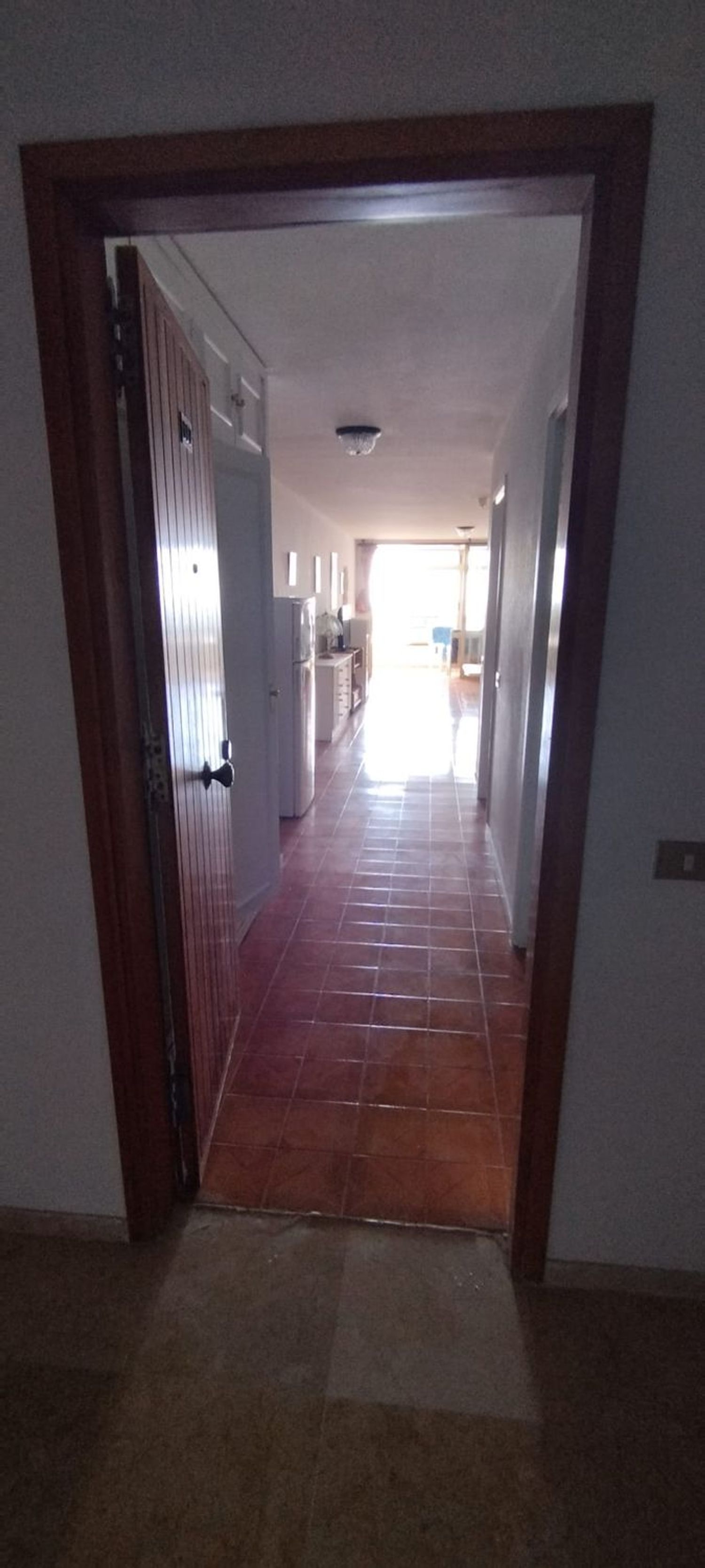 Estudio en Avenida de Cristobal Colón, 26 - Foto 2