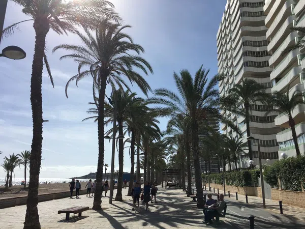 Piso en Avenida de Niza, 2, Playa de San Juan - Foto 24