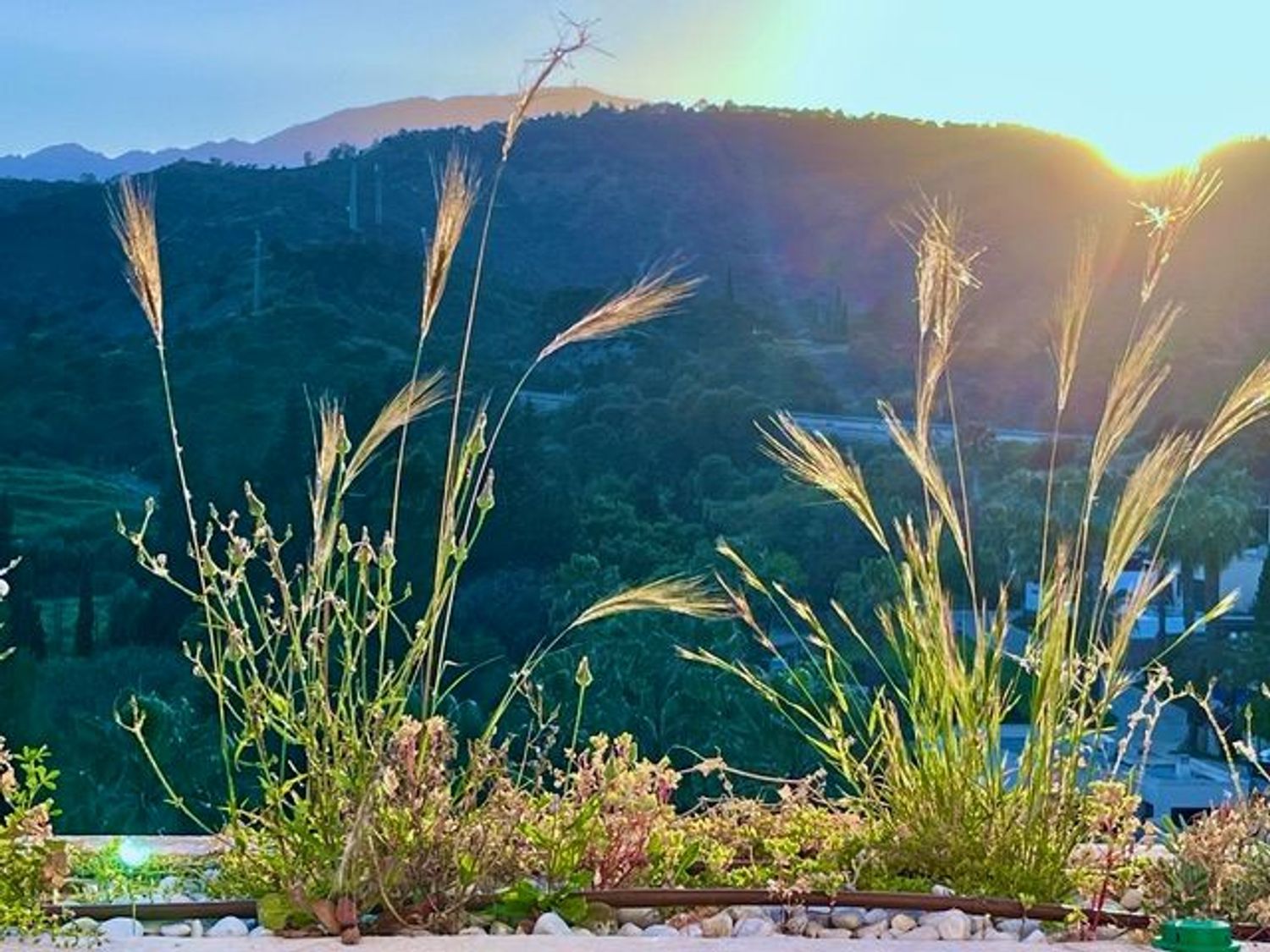 Piso en Urb. parque botanico Los Flamingos - Foto 20