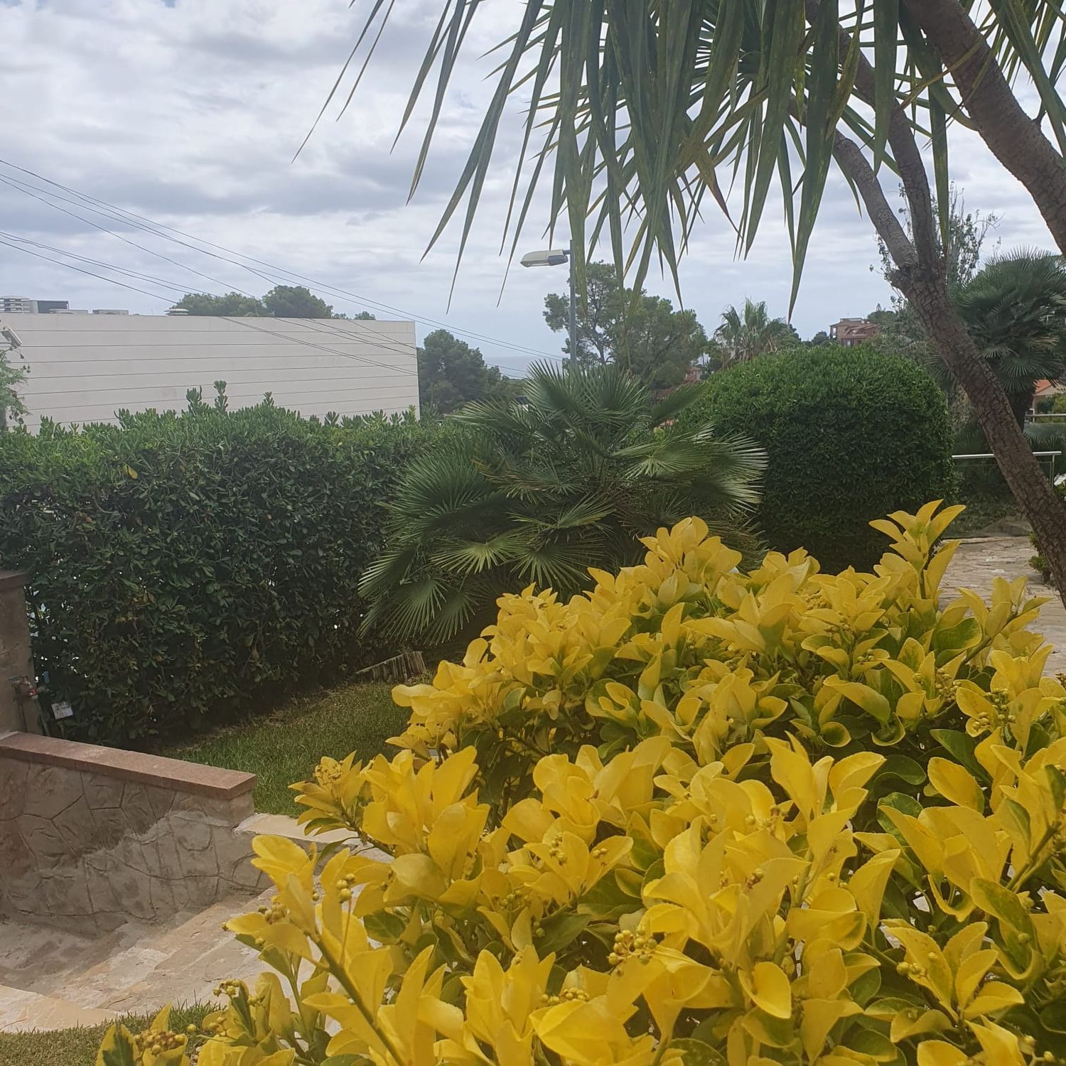 Piso en Avenida 326, 19 -25, Montmar, Montmar - Foto 13