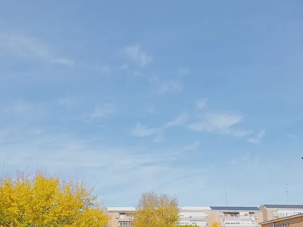 Piso en Barrio Parque oeste - Fuente Cisneros