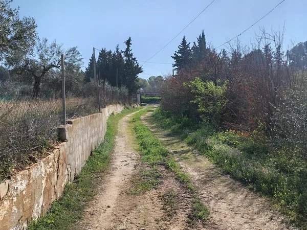 Casa rural en Camino del Grijo s/n, Alquería-Torrealquería, Alquería-Torrealquería - Foto 8