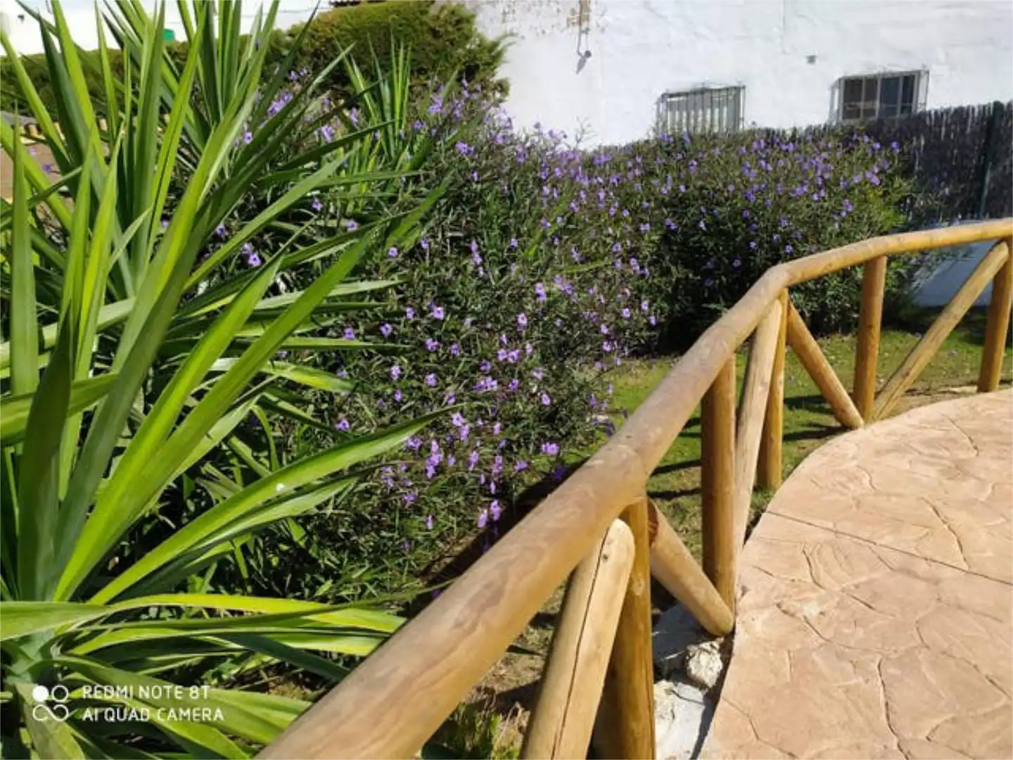 Apartamento en forestal - Foto 3