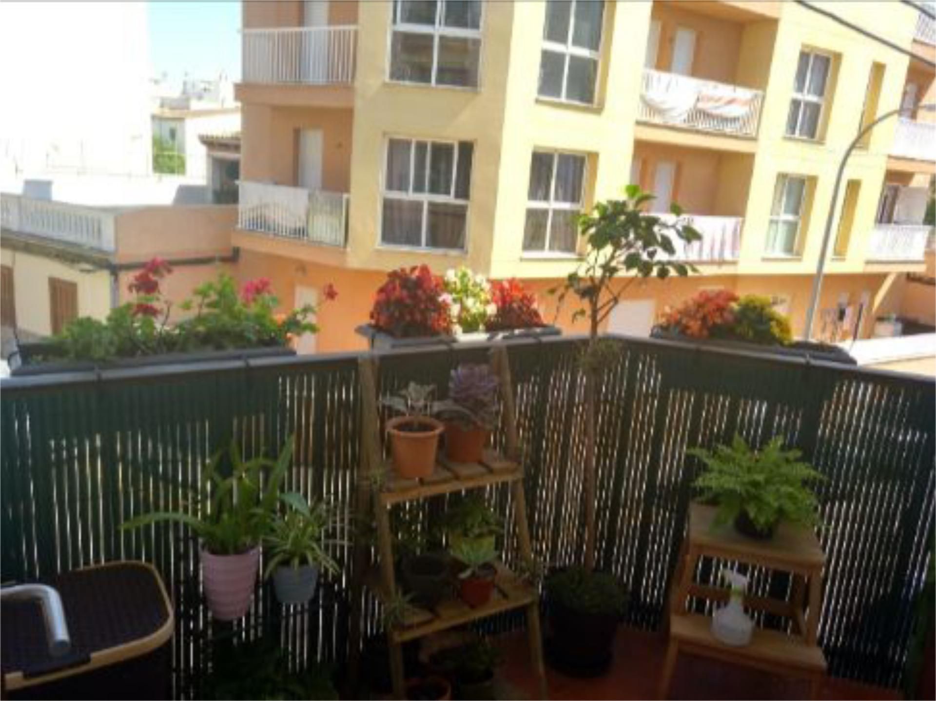 Piso en  Carrer de la Ventada 3 - Foto 7