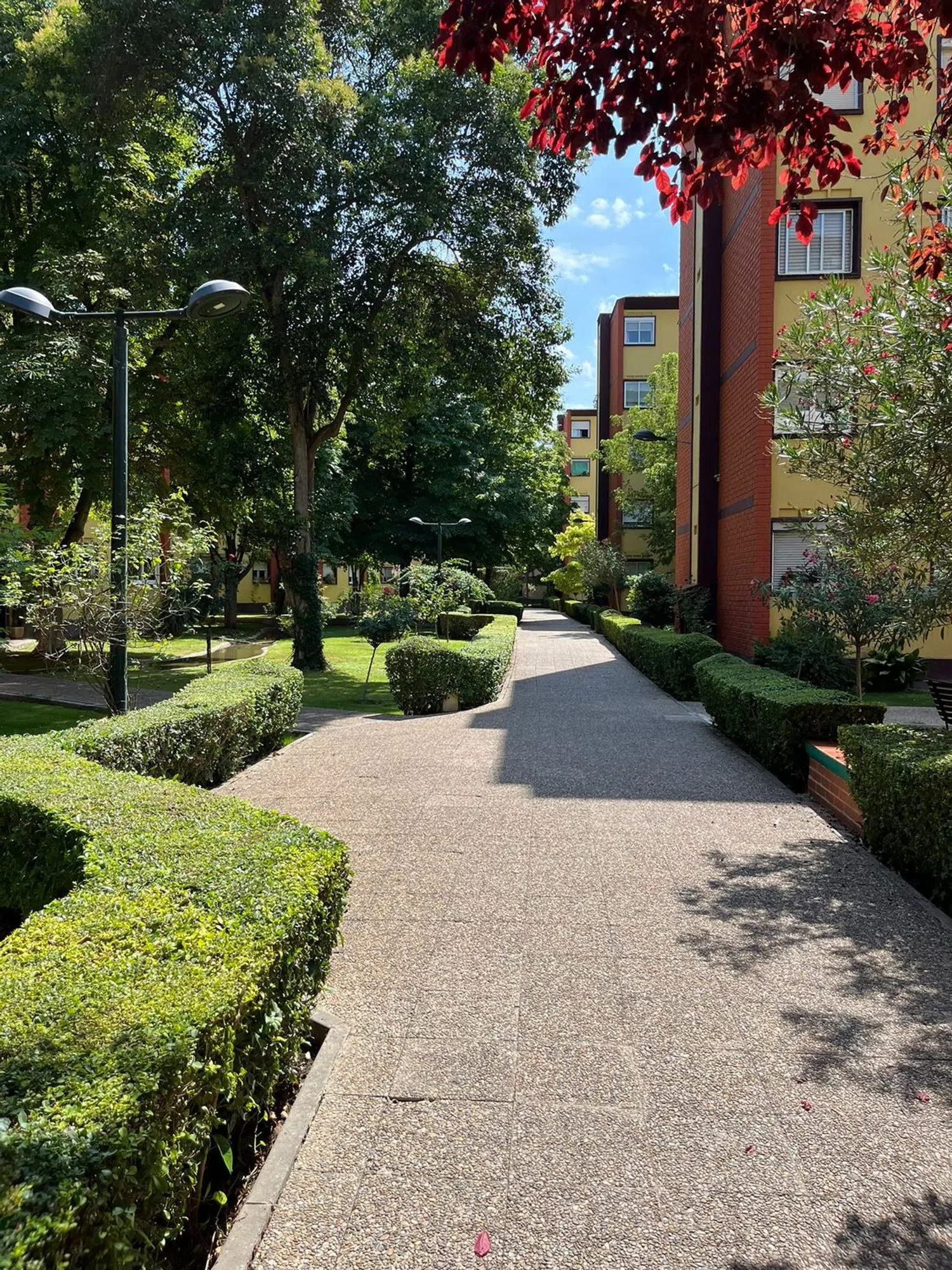 Piso en calle del Arzobispo Morcillo, 18 - Foto 16