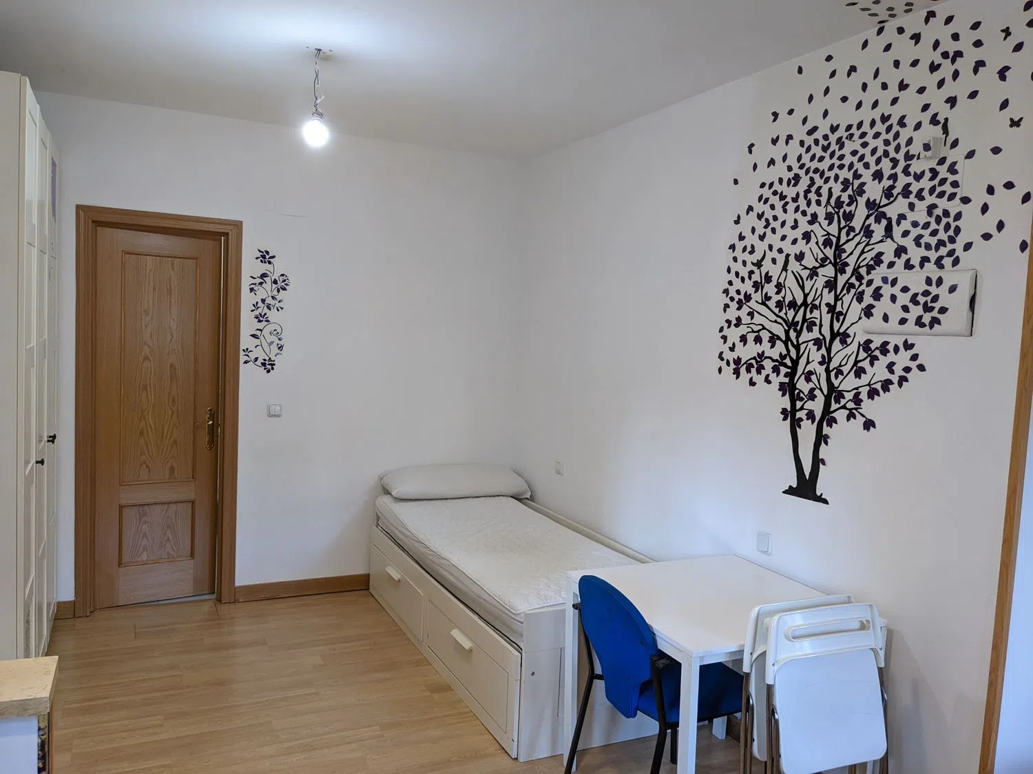 Estudio en calle Tunaima, 8 Posterior - Foto 5