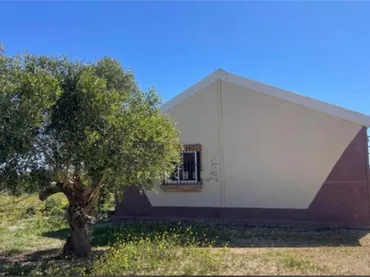 Piso en SE VENDE FINCA - Foto 3