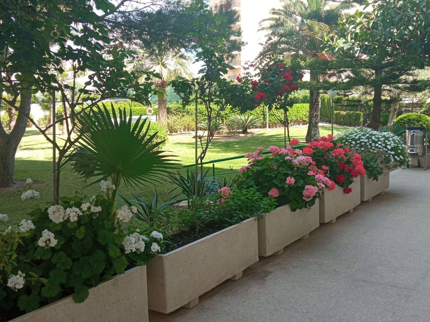 Estudio en Avenida Nord, 6, Playa de Gandia, Playa de Gandia - Foto 13