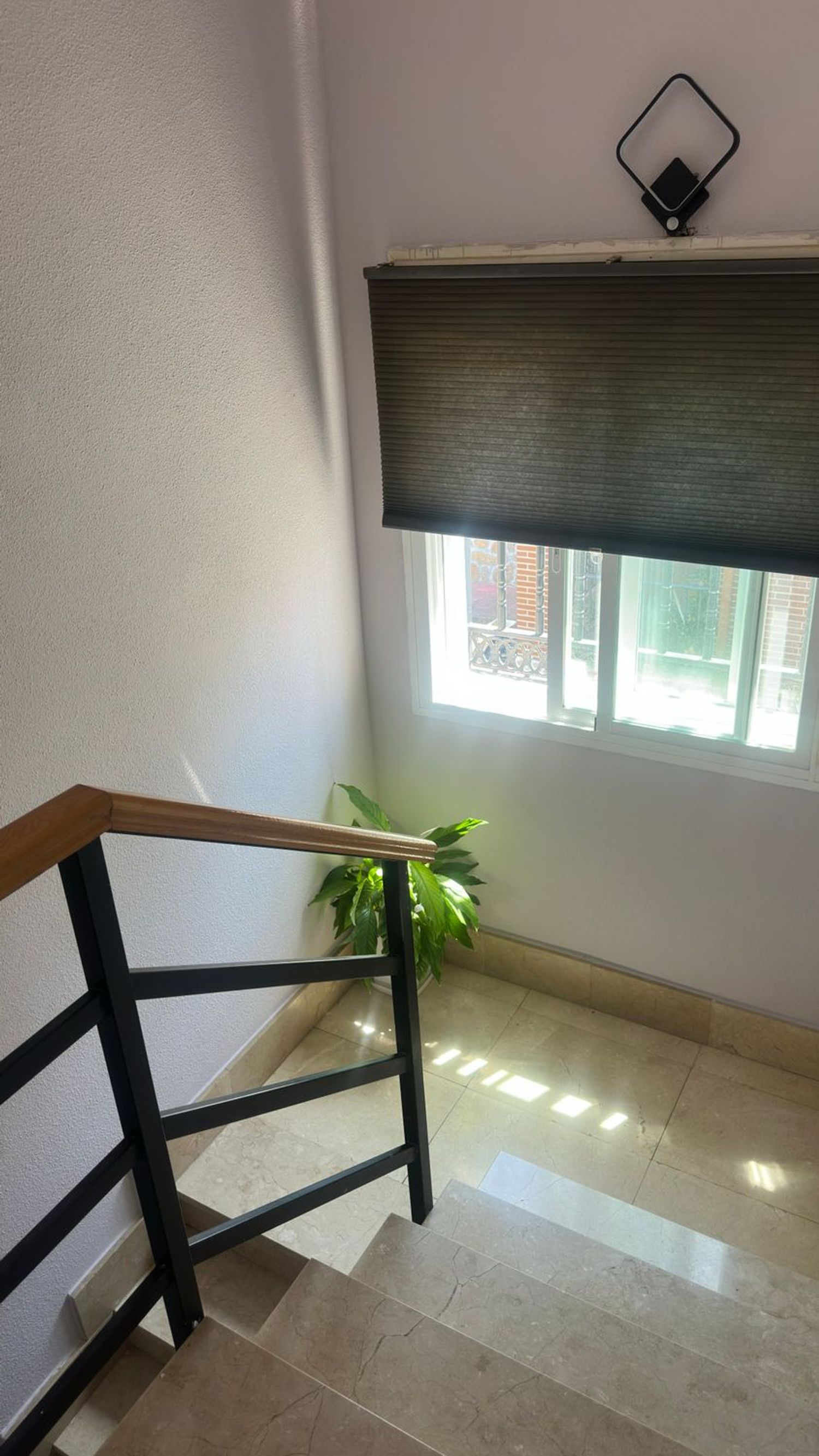 Casa o chalet independiente en Calle Neptuno, 6 - Foto 24
