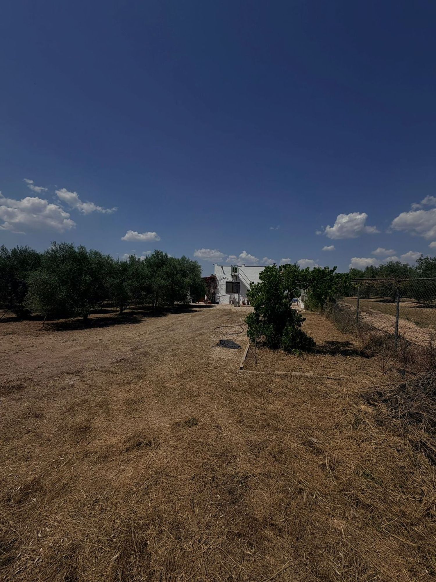 Finca rústica en poligono 9 parcela, 32 - Foto 3