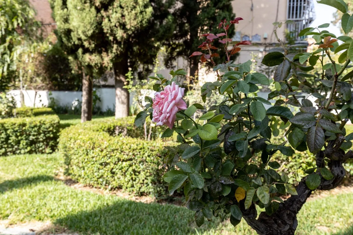 Piso en calle Luz Casanova, 4 - Foto 33