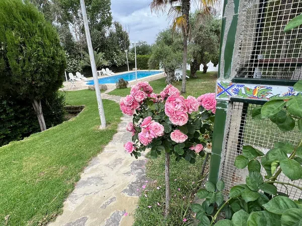 Casa rural en (36.8522990, -5.6169789) s/n - Foto 13
