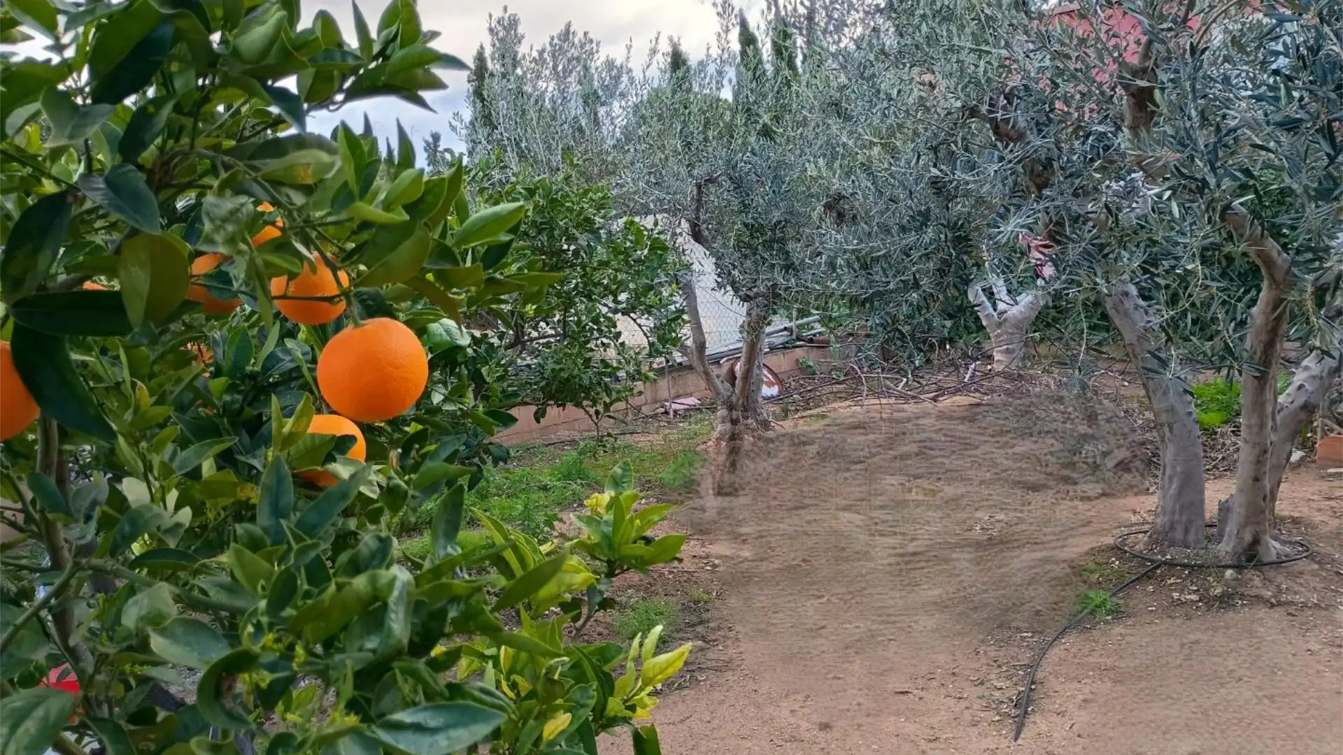 Chalet en  Carrer de la Vivianita 709 - Foto 31