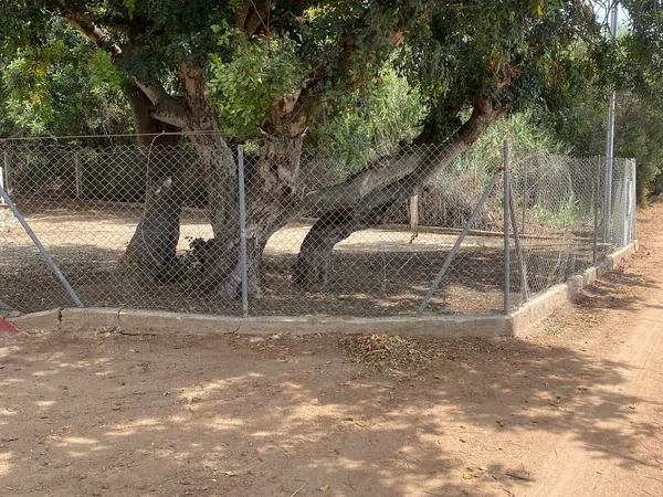 Finca rústica en Avenida Diputación 62, 62, Vilafortuny platja - Foto 3