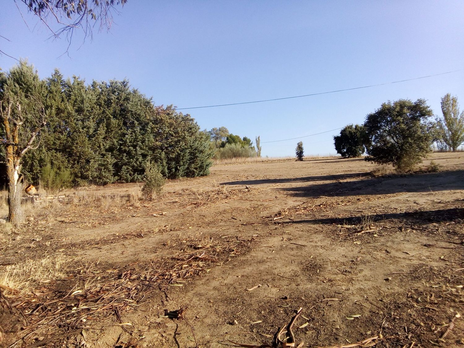 Finca rústica en camino de las laderas, 45 - Foto 1