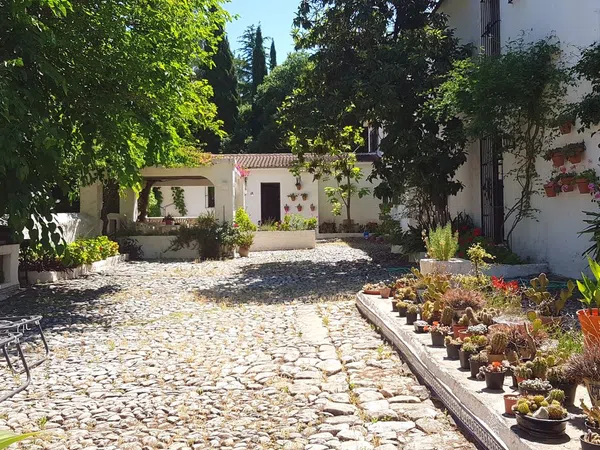 Casa rural en Calle Juan Carlos I s/n - Foto 5