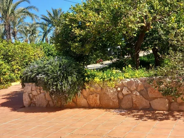 Finca rústica en calle Don Adrián, 1506 - Foto 11