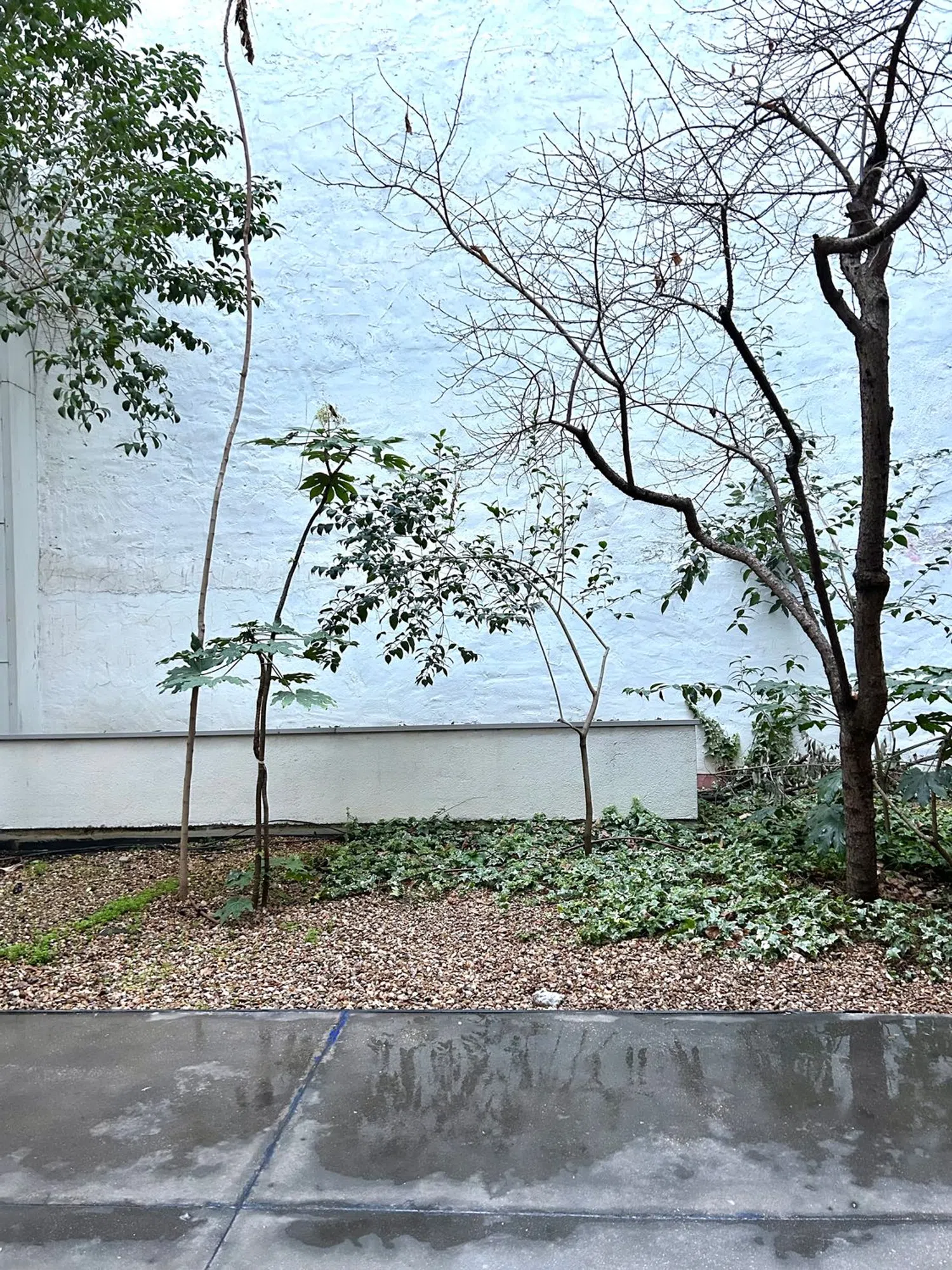 Dúplex en calle de Muñoz Torrero, 5 - Foto 9