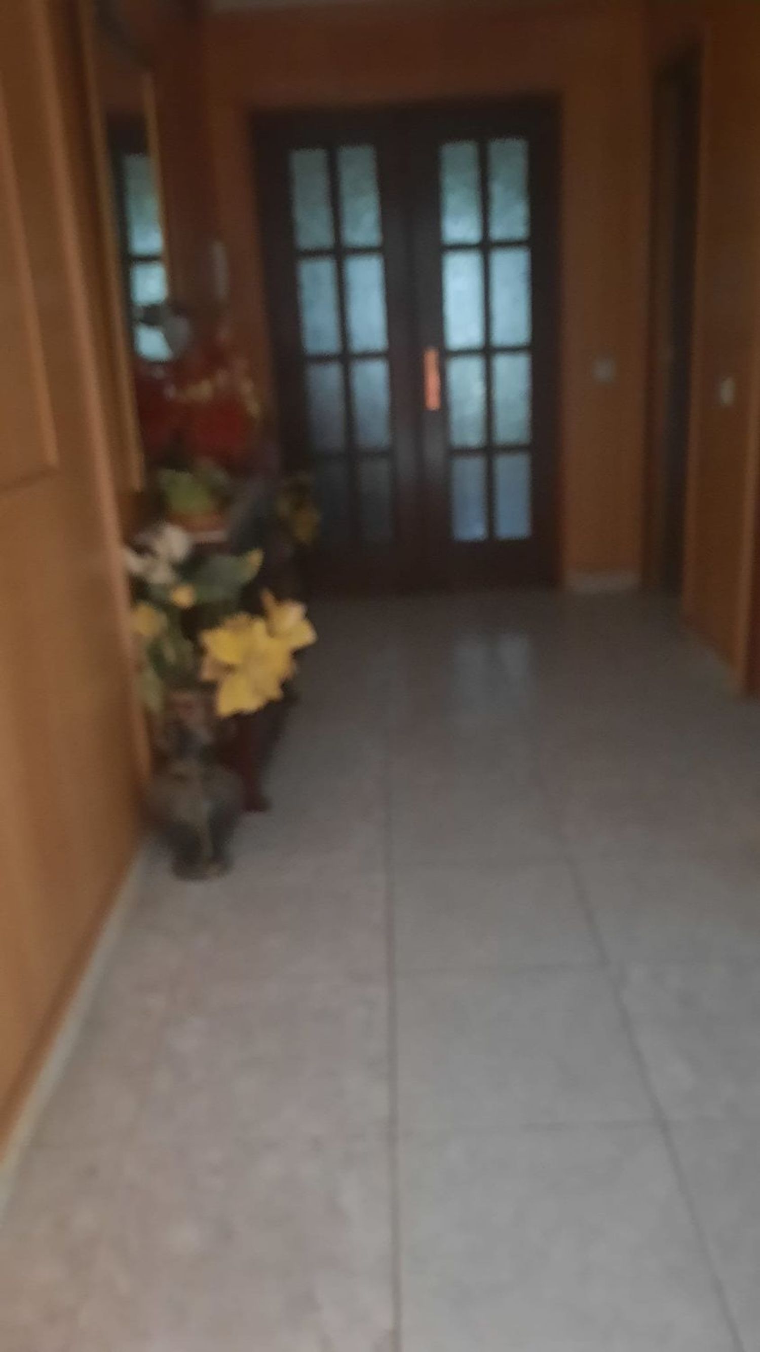 Piso en Coria - Foto 17