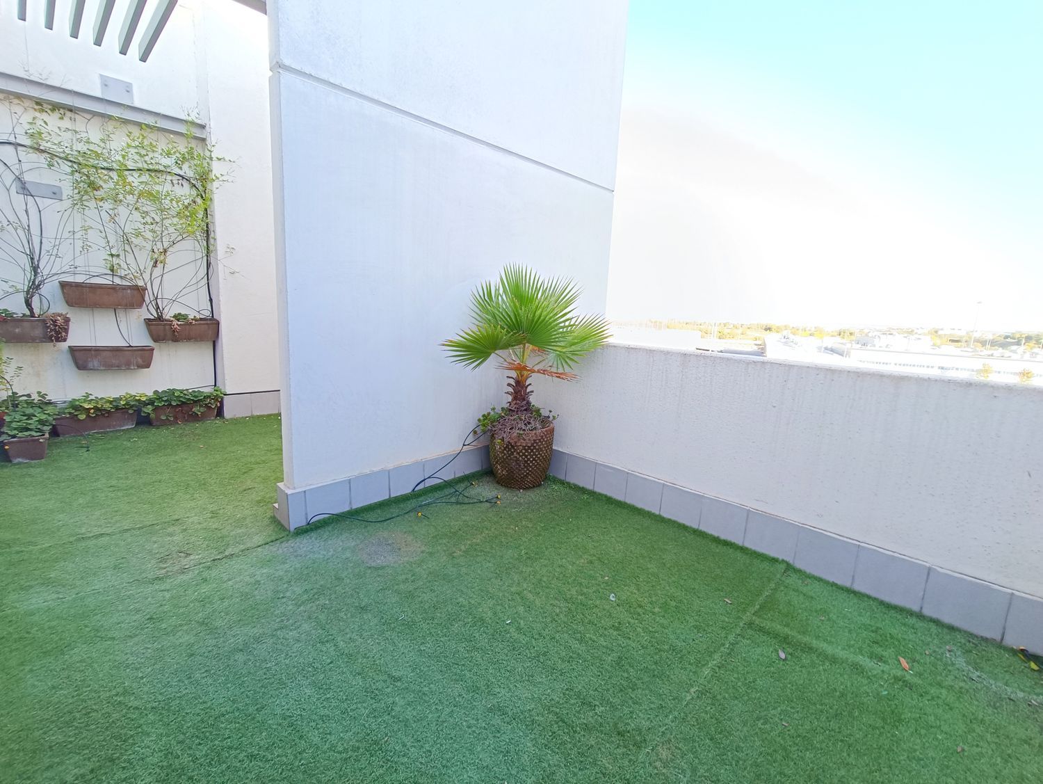 Ático en calle Pintor Ignacio de Zuloaga, 27 - Foto 14