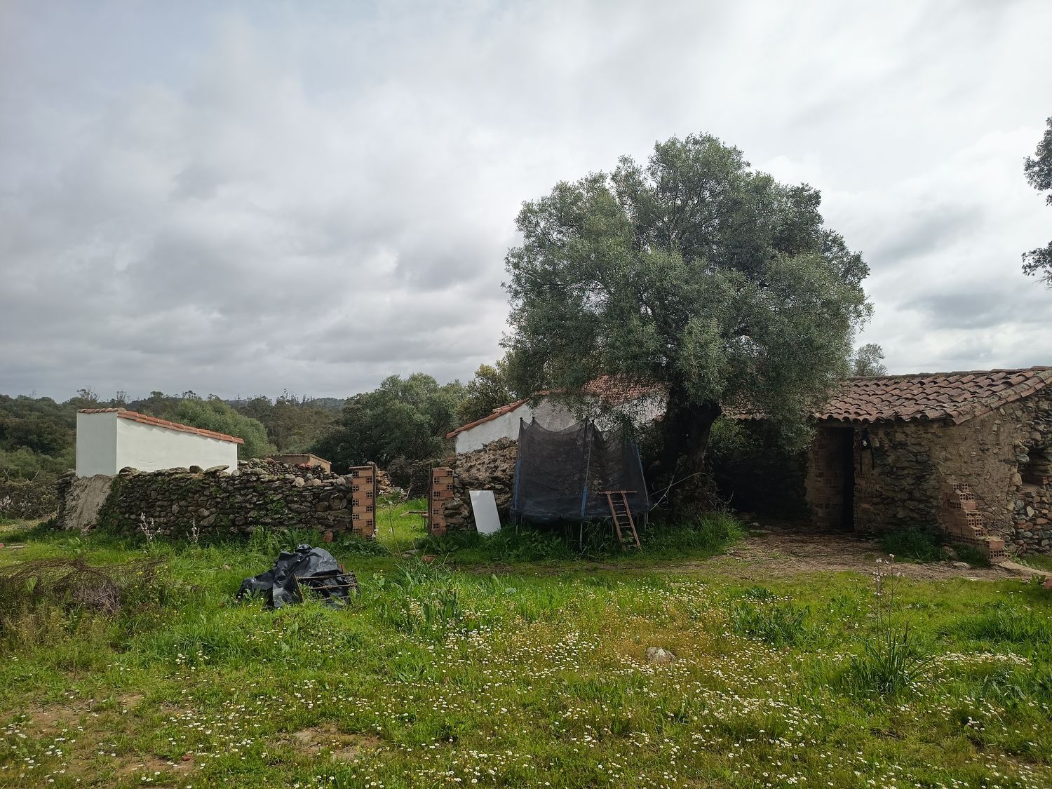 Finca rústica en Hv-1421 s/n - Foto 3