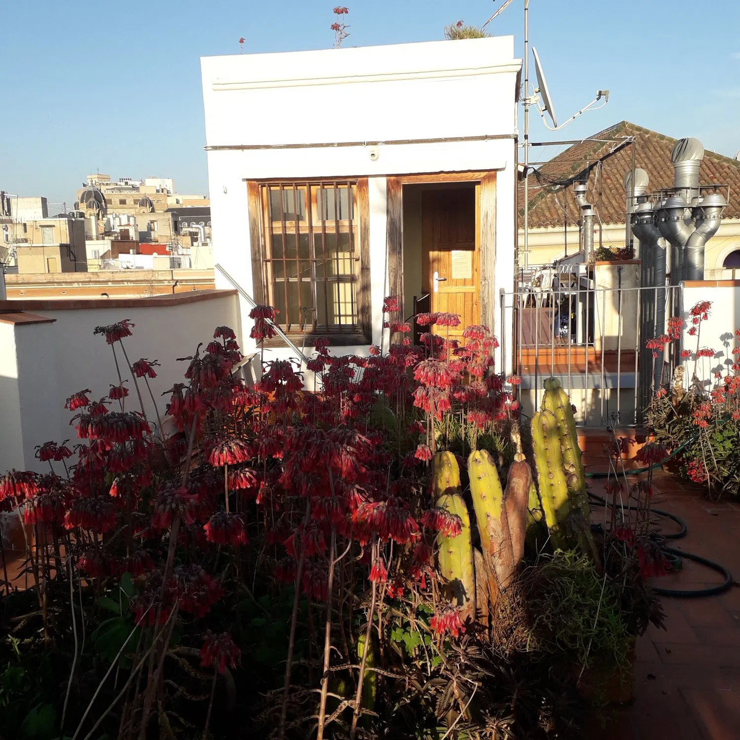 Piso en calle de les Ramelleres, 5 - Foto 10