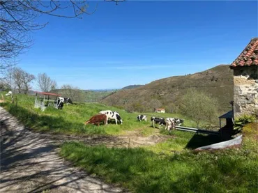 Chalet en Abionzo de Villacarriedo - Foto 1