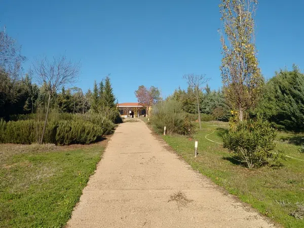 Finca rústica en Polígono Dehesa nueva s/n - Foto 9
