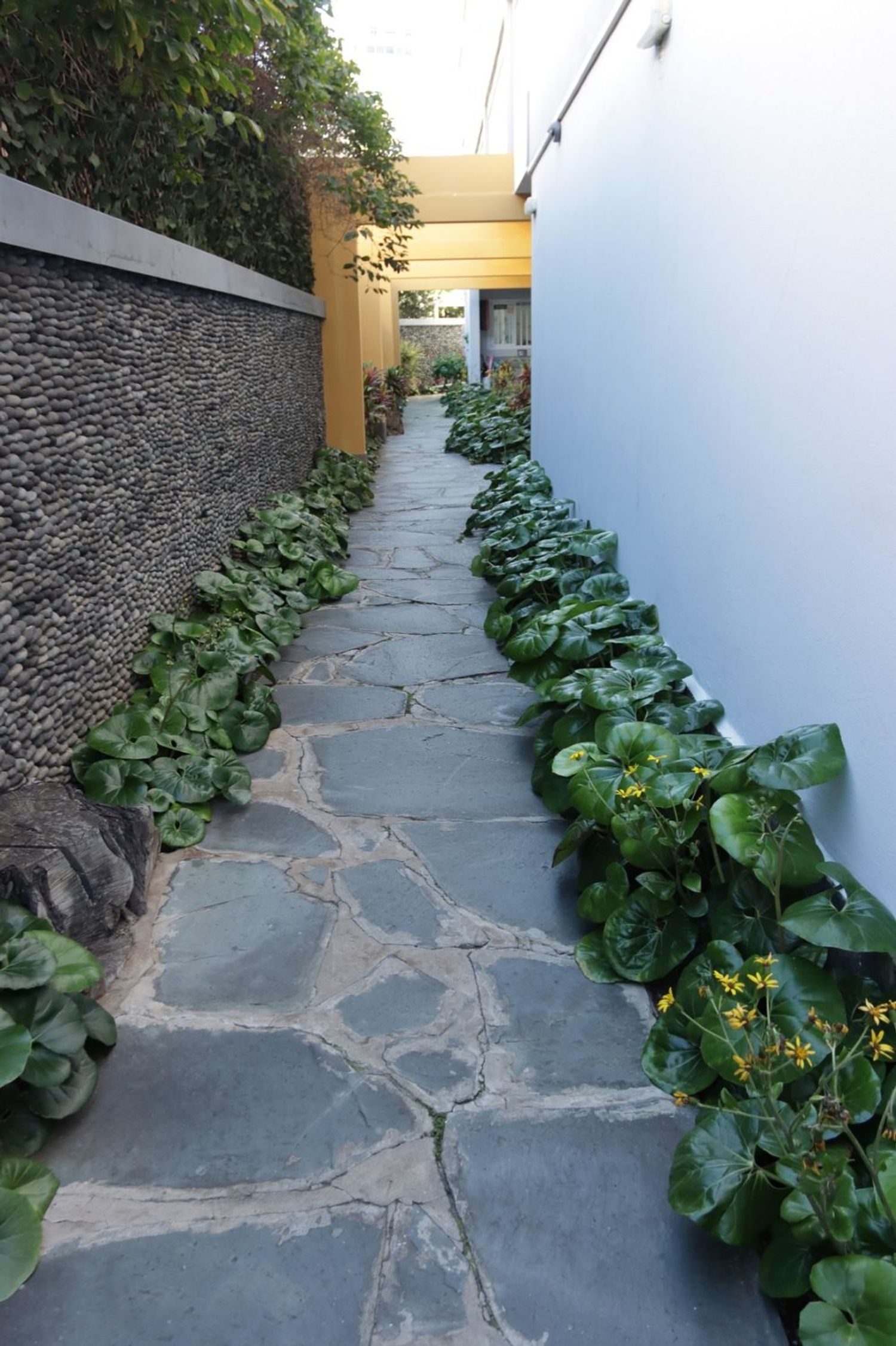 Estudio en Ciudad Jardín - Foto 19