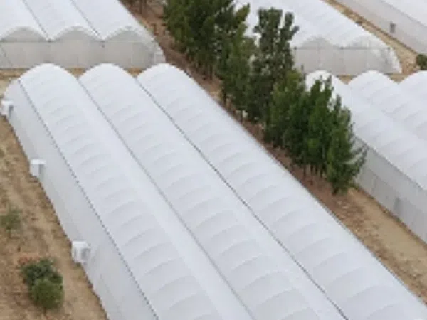 Finca rústica en Carretera de las Herrerías a Puebla de Guzmán s/n - Foto 5