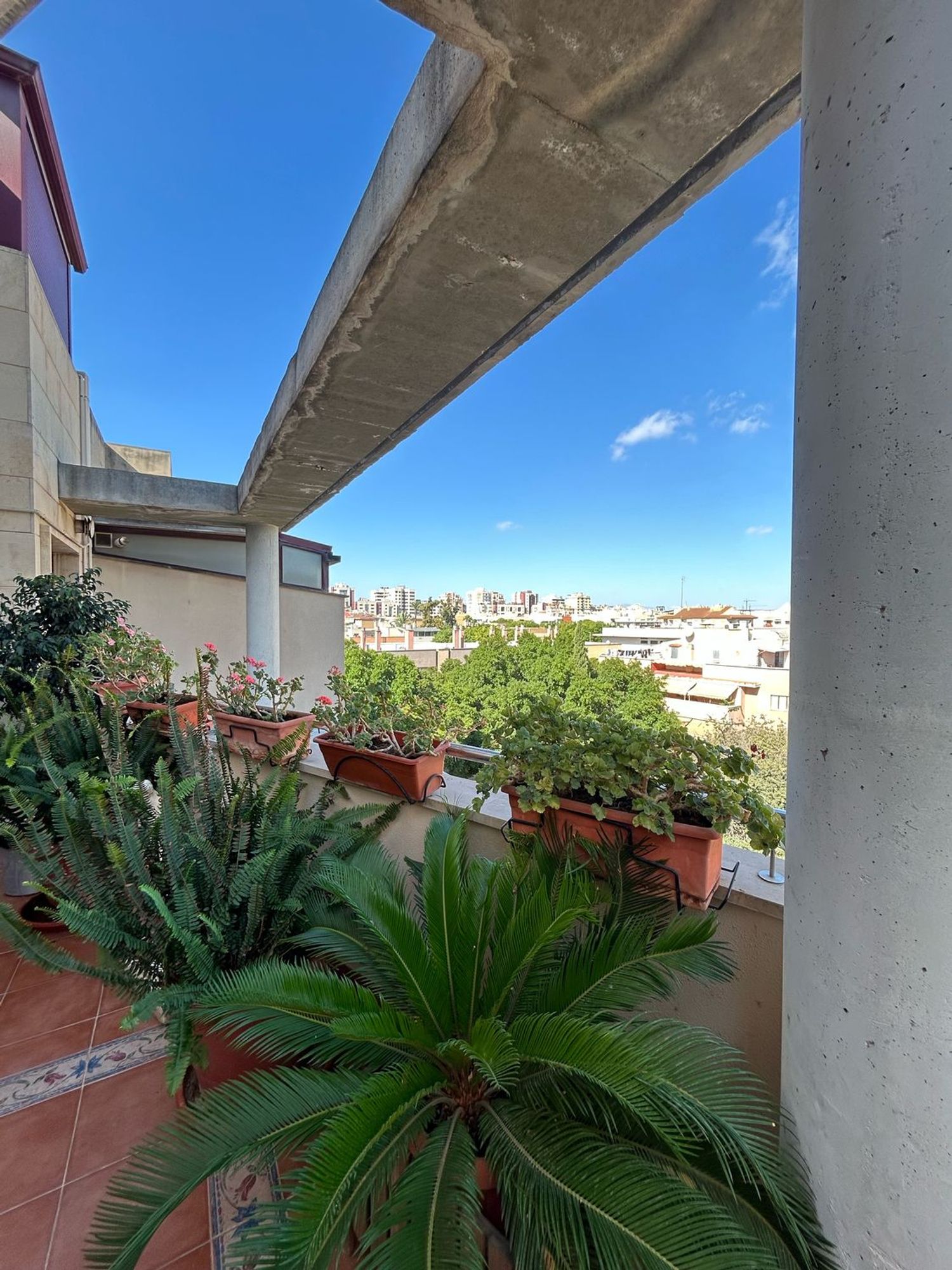 Ático en Barrio Vista Alegre - Foto 4